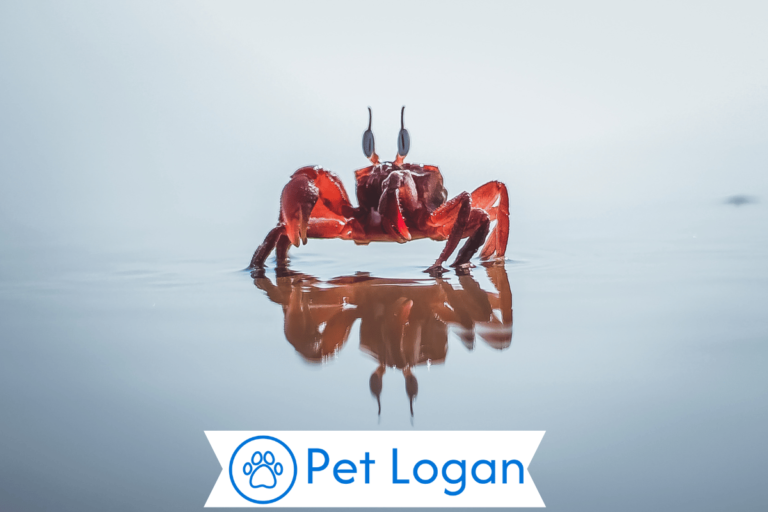 Crab Names