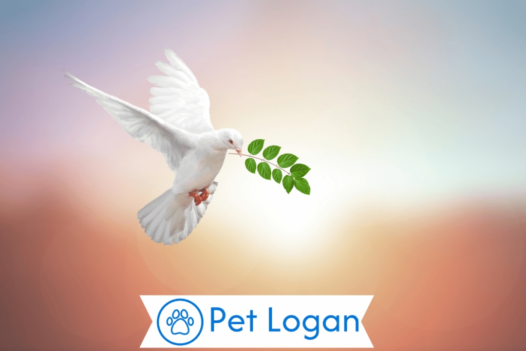 300 Dove names 4