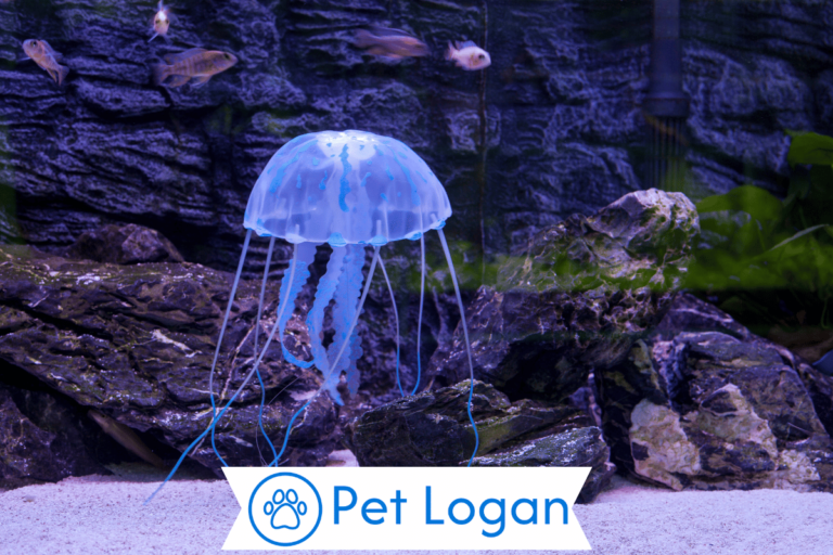 Jellyfish Names