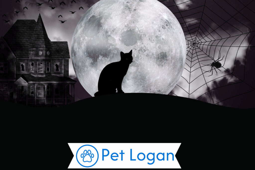 200+ Cool And Catchy Magical Cat Names For Your Spellbinding Feline 1 Cute Magical cat