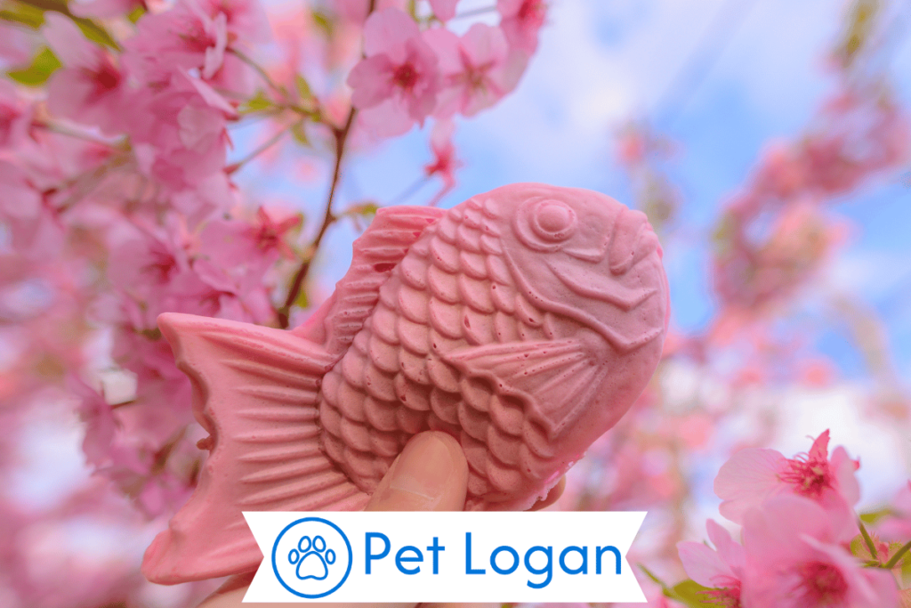 Unique Pink Fish