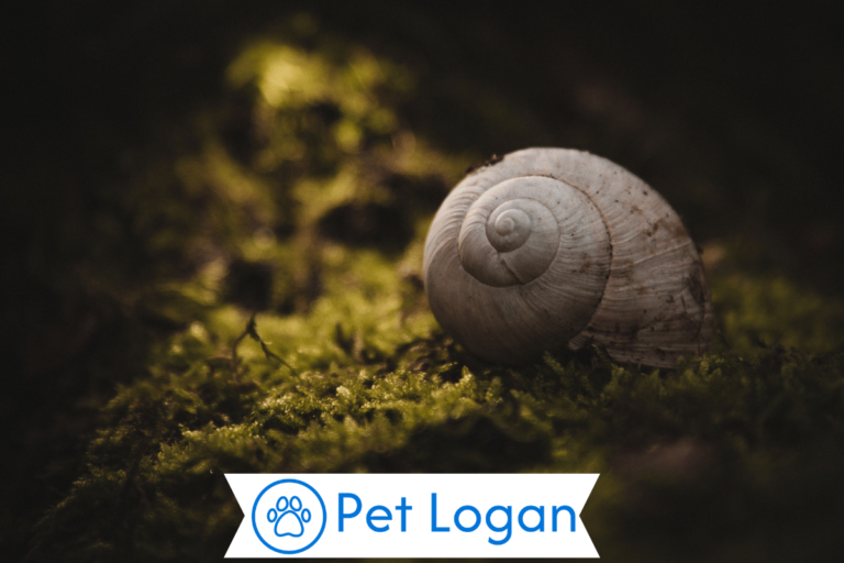 Snail Names