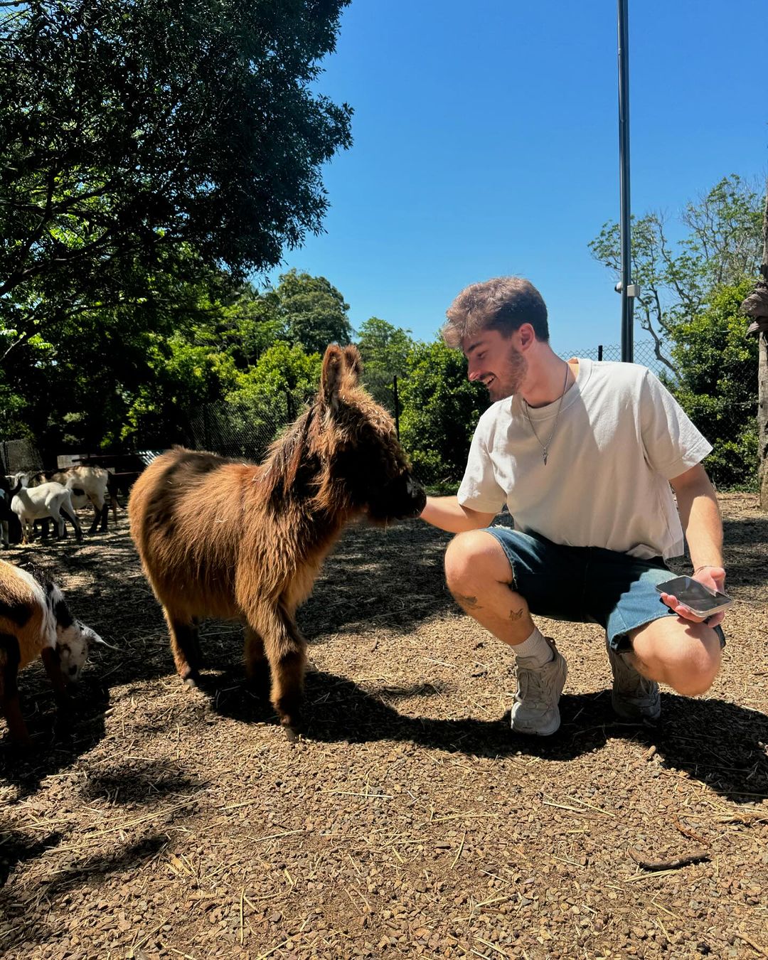 Home 7 Founder Of Pet Logan