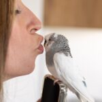 Jessica the parrot owner