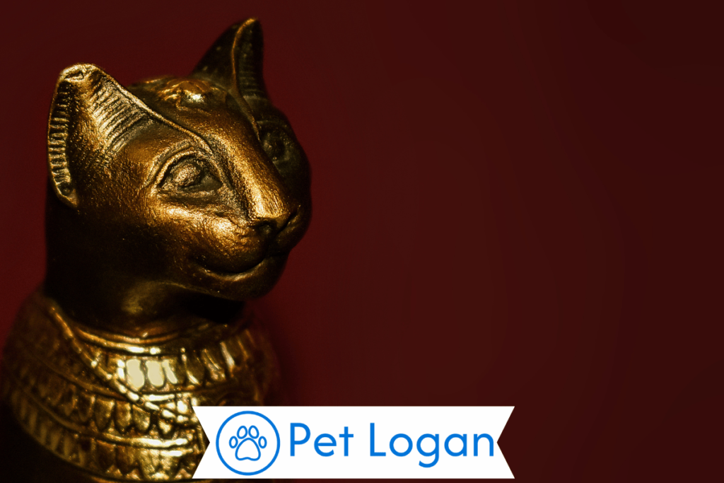 300+ Cool And Catchy Egyptian Cat Names For Your Badass Kitty 2 Unique Egyptian Cat Names
