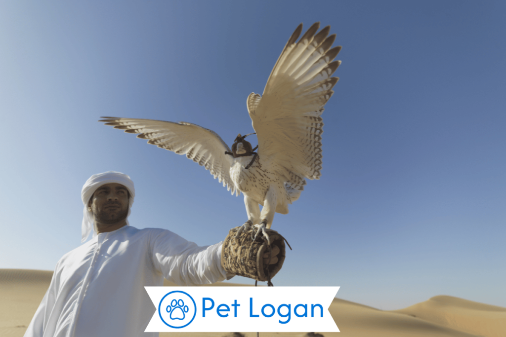 Cool Falcon Names
