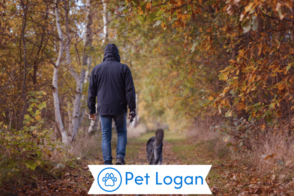 250+ Cool And Catchy Autumn Dog Names For Your Cute Pup 1 Cool Autumn Dog Names