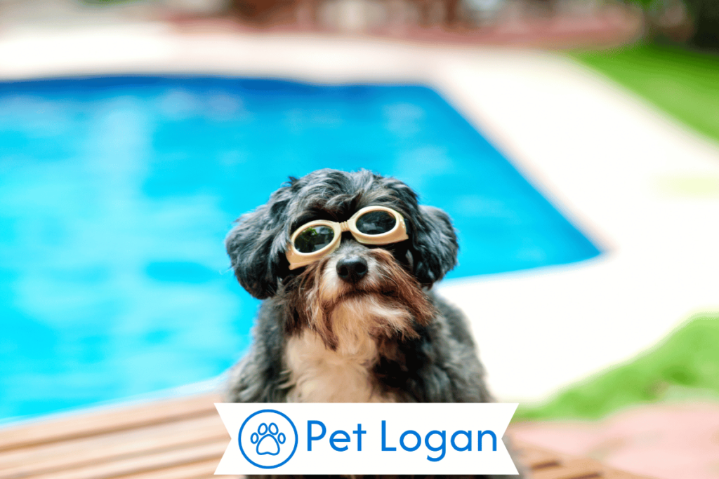 250+ Cool And Catchy Hippie Dog Names For Your Cute Pup 2 Unique Hippie Dog Names