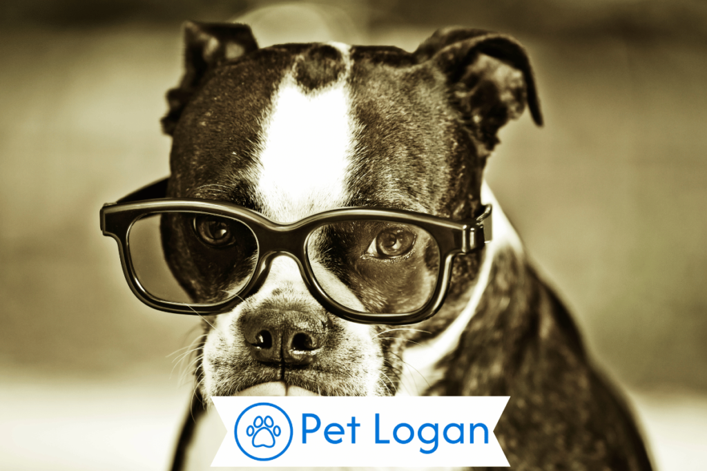 Cool Hipster Dog Names