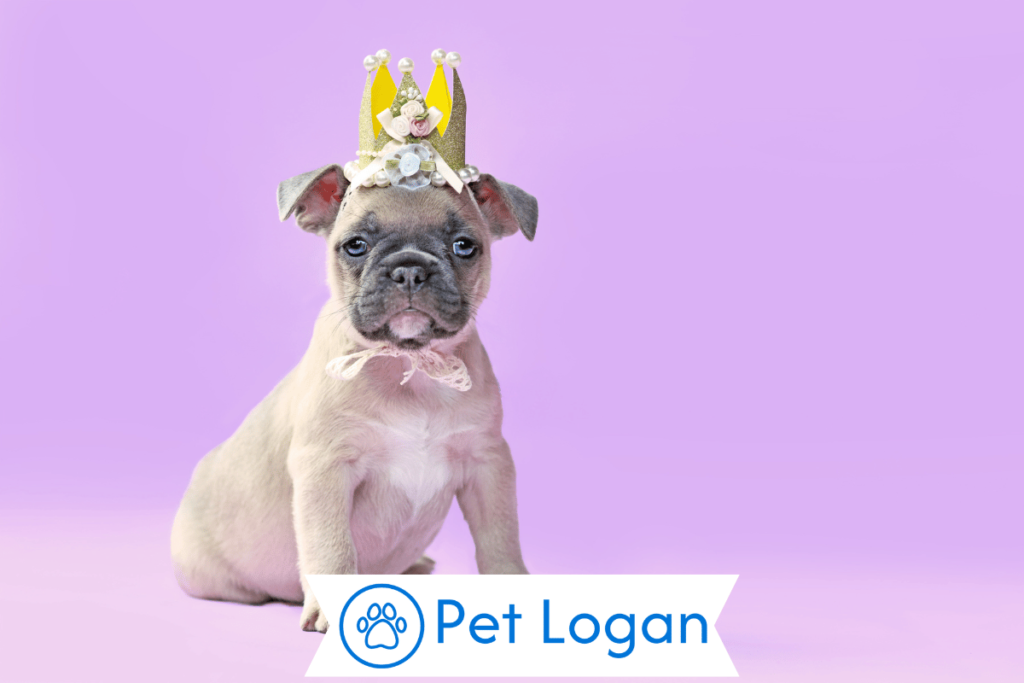 250+ Cool And Catchy Royal Dog Names For Your Royal Pup 1 Cute Royal Dog Names