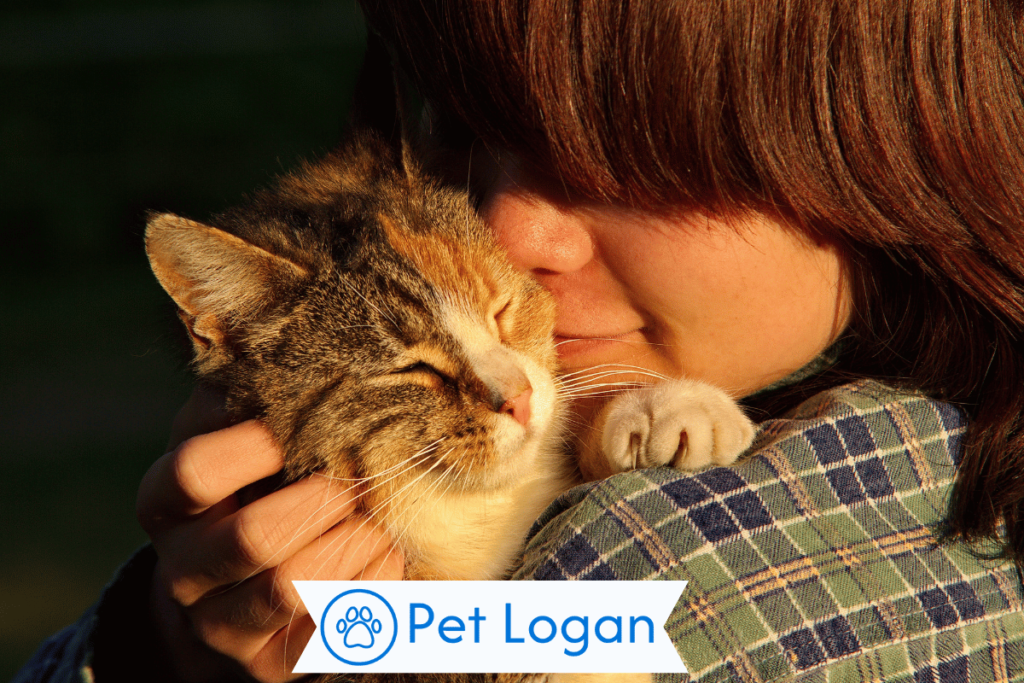 300+ Cool And Catchy Girl Cat Names For Your Cute Kitty 1 Cute Girl Cat Names