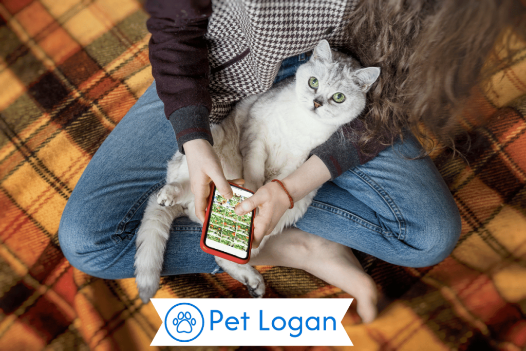 300+ Cool And Catchy Girl Cat Names For Your Cute Kitty 2 Unique Girl Cat Names